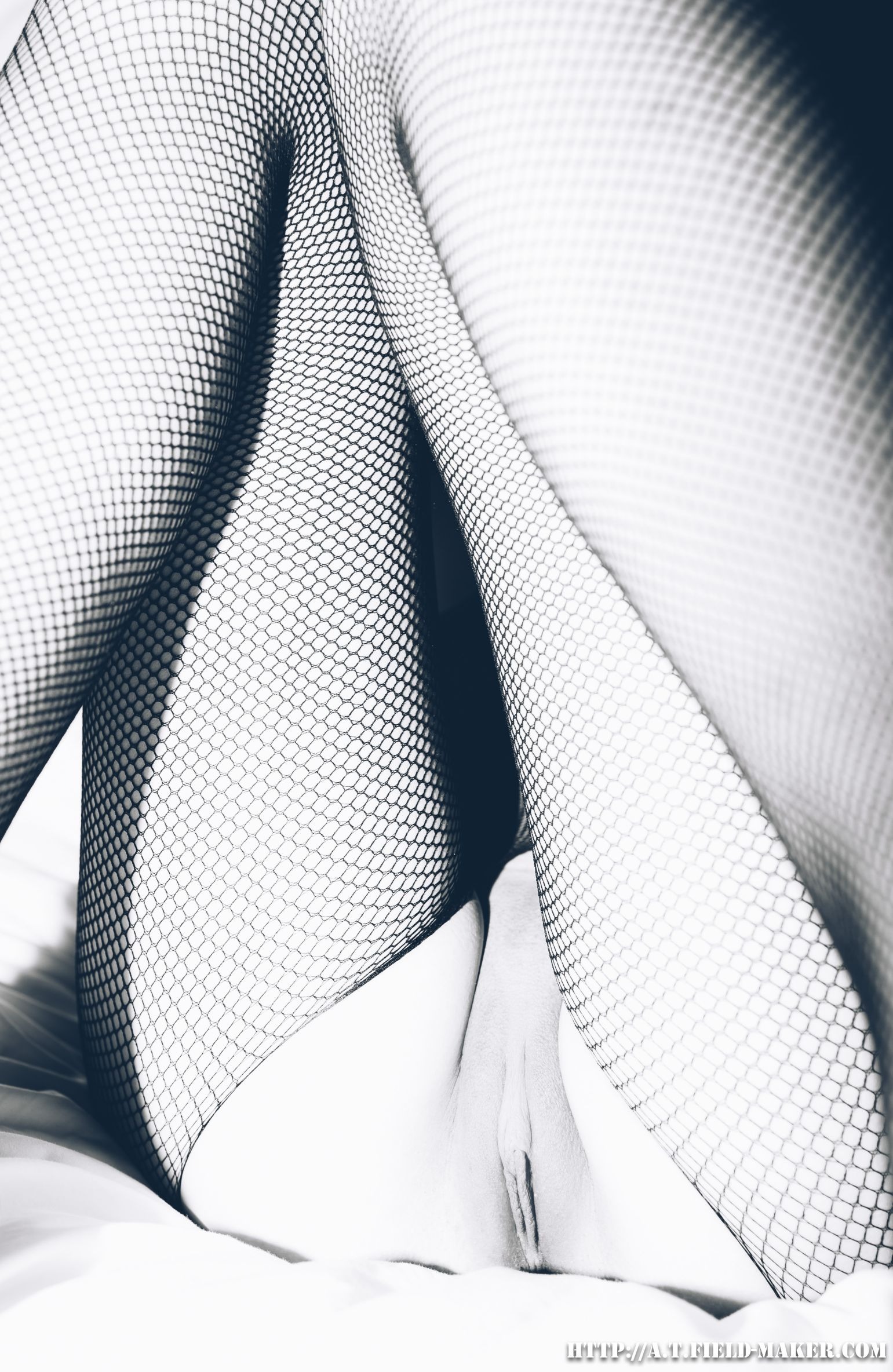 [Atfmaker] Mesh Onesies 网袜 [26P] - 写真摄影作品第18张照片，6e1f124be490cd0fe53ab