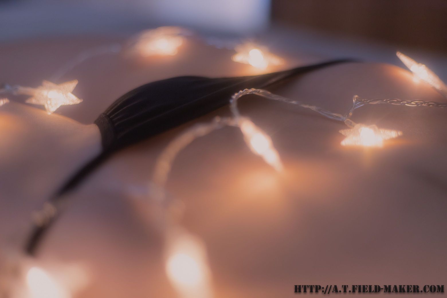 [Atfmaker] 裸体星光 [38P] - 写真摄影作品第11张照片，d90b58f849e8cbd48a43d