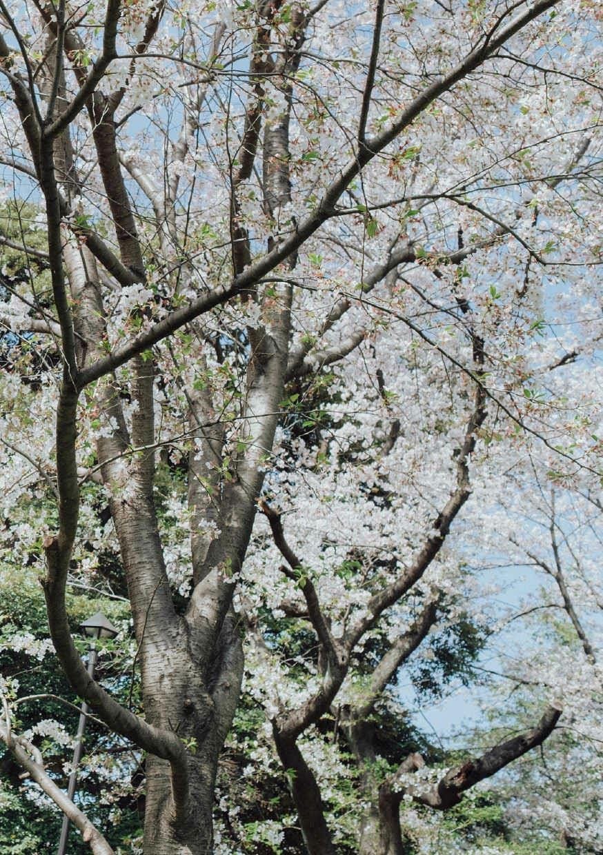 Riri Nanatsumori 七ツ森りり   [Photobook] Taken とられち (2021 08 12) [141P] - 写真摄影作品第74张照片，7cc0556c4b6f2fc64f32e